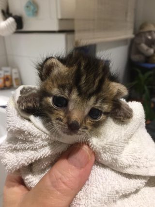 Unsere Aufgabe Bild 1