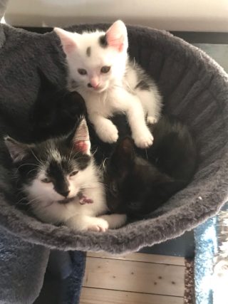 Unsere Aufgabe Bild 2