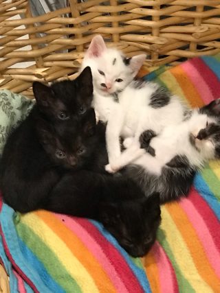 Unsere Aufgabe Bild 3