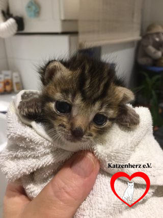 Unsere Aufgabe Bild 1