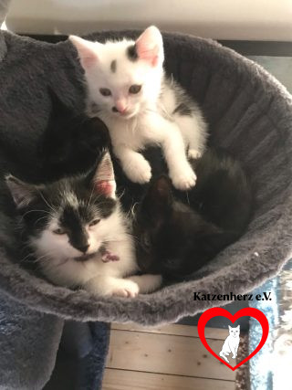 Unsere Aufgabe Bild 2