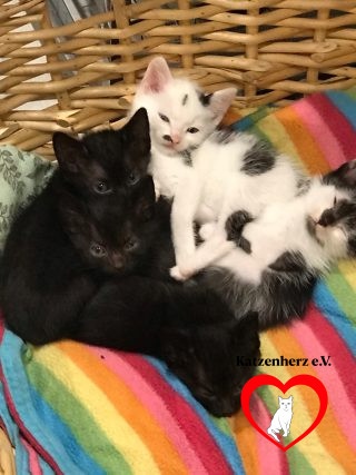 Unsere Aufgabe Bild 3