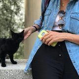 Engagement der Gemeinschaft