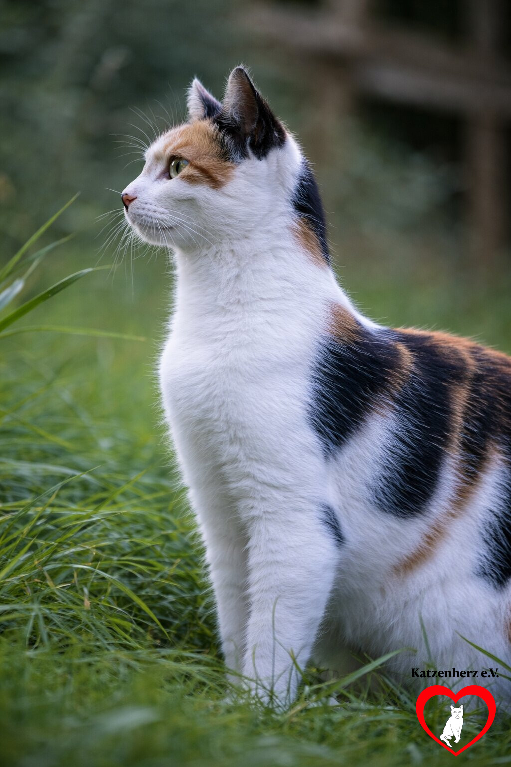 Sterilisationsprogramme