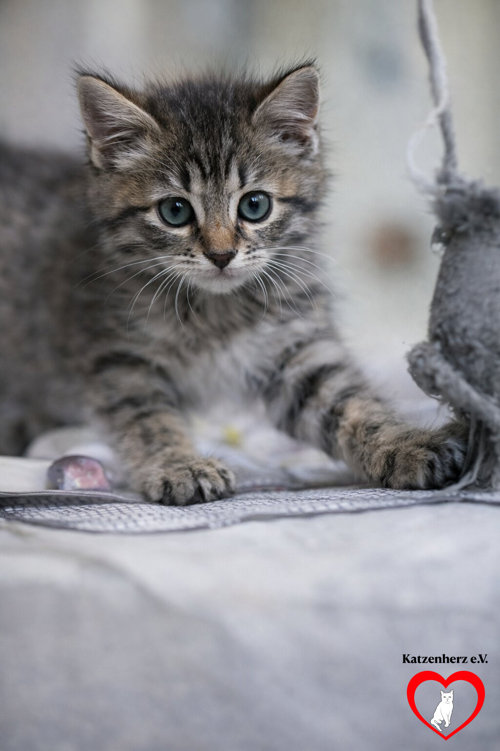 Vermittlungsprogramme